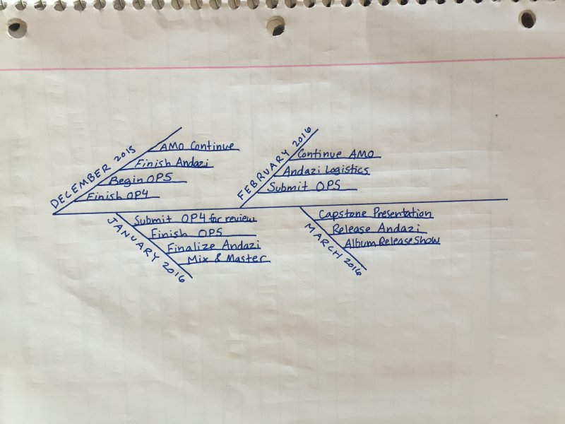LIPD Timeline 2.jpg.1