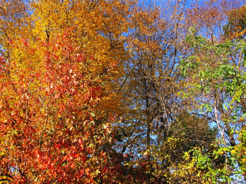 Abrazados en el Cielo.JPG.1