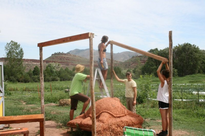 Shelly mo shelter.jpg