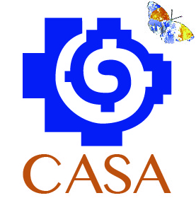 logo cuadrado CASA.jpg