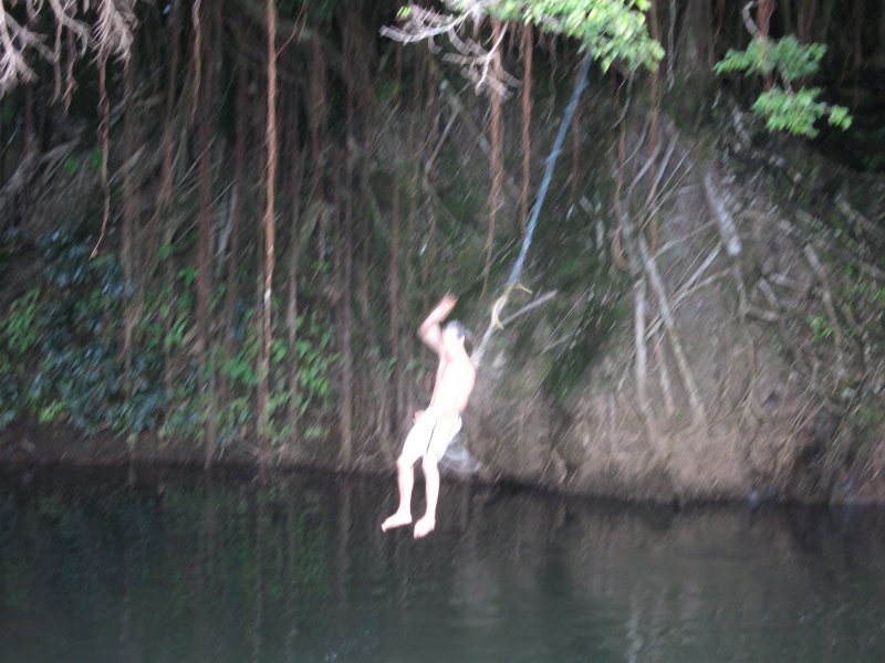 hawaii rope swing.JPG