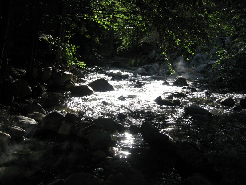 tassajara creek.JPG