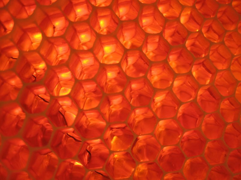 honeycomb.JPG