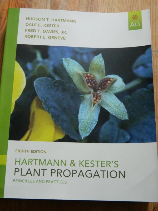 Plant Propagation.JPG