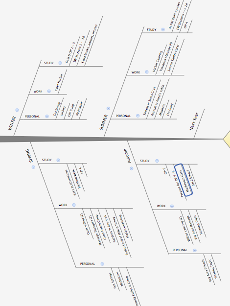 Timeline for year.png