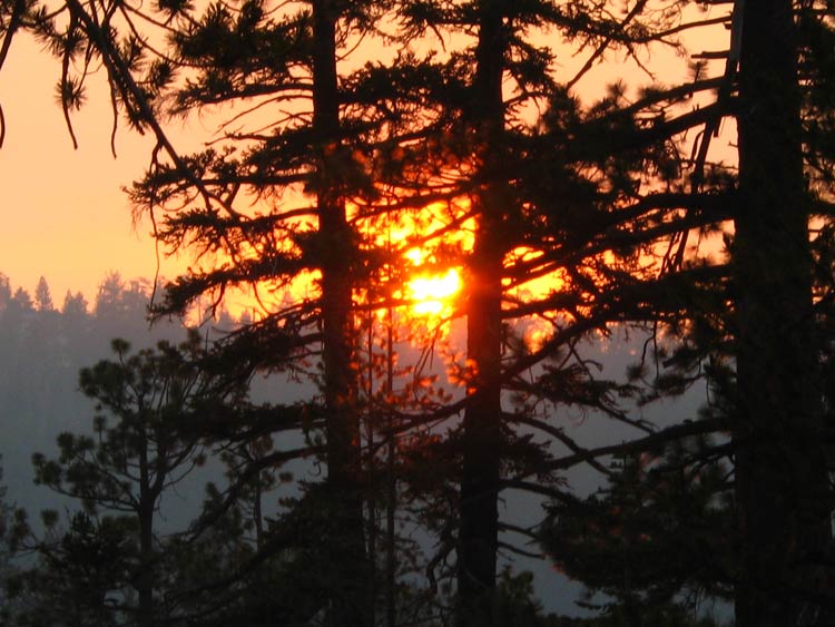 Yosemite National Park