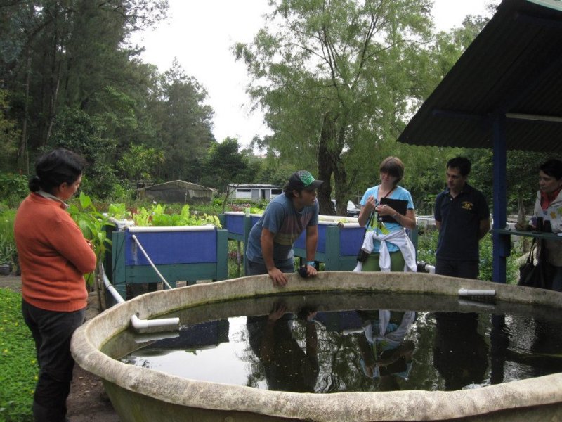 Lindbergh grant Aquaponics Demonstration System.jpg