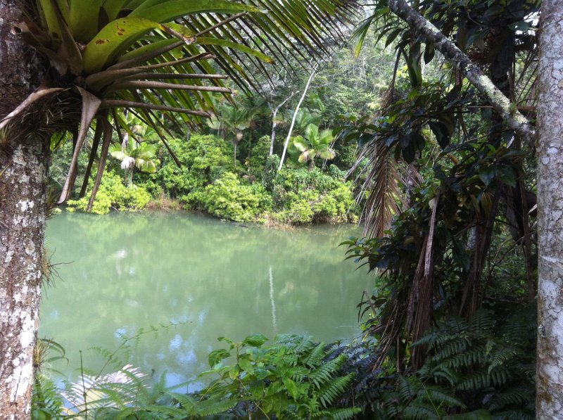 Lago Carite .JPG