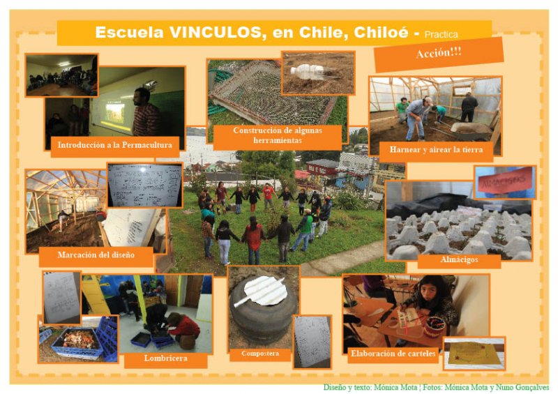 PR3 # 2.1.5 IV accion.jpg