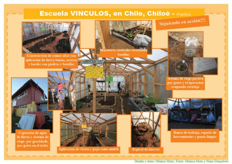 PR3 # 2.1.5 V seguiendo accion.jpg