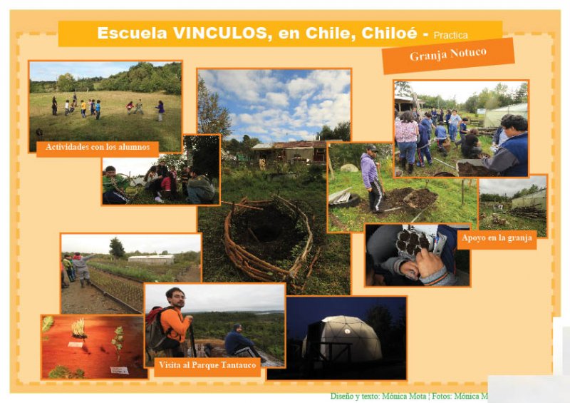 PR3 # 2.1.5 VII Notuco.jpg