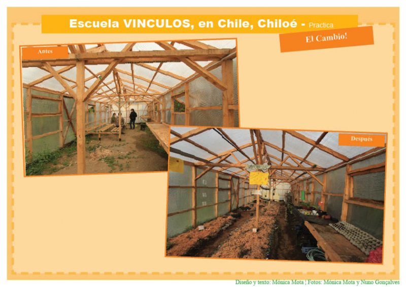 PR3 # 2.1.5 VIII El Cambio.jpg