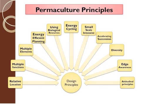 Screen Shot 2014-05-05 at 9.55.42 PM.jpg