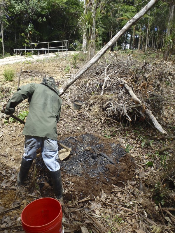 Horse manure, jungle mulch and biochar compost.jpg