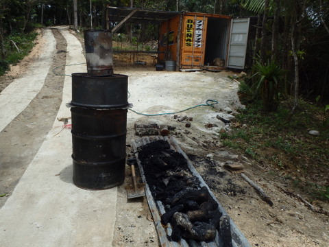 Biochar.JPG.1