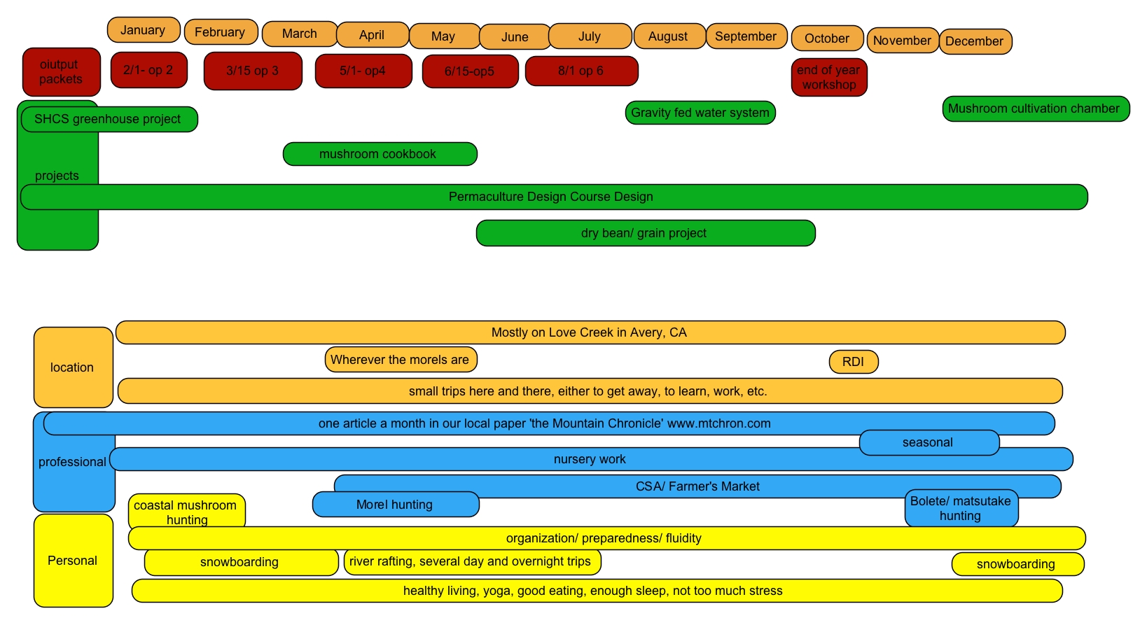 What I really did for 2011-copy.jpeg