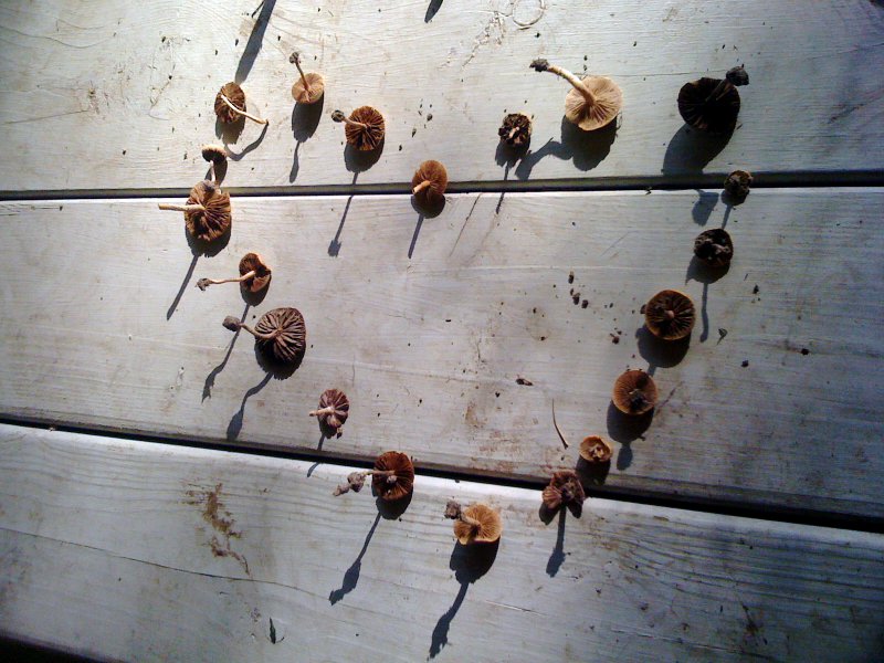 photo 3.JPG.1