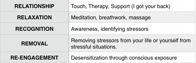 5 R's of Stress Management.png