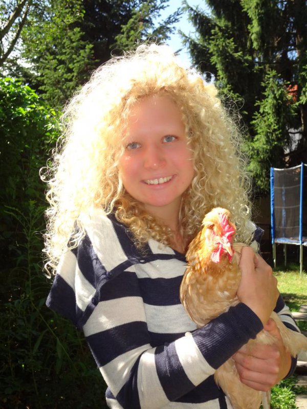 My hen