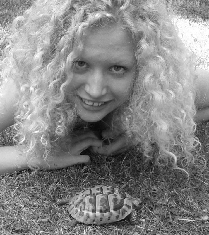 My turtle