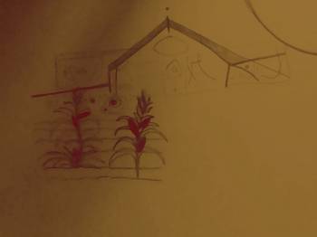 casa huerat maiz px.jpg