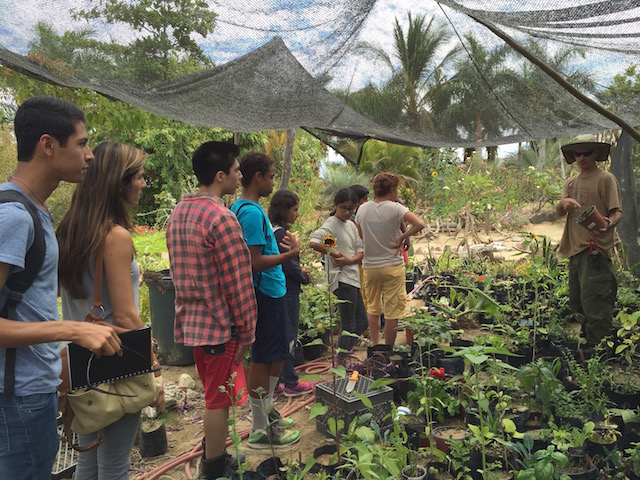 Sierra School nursery resized.jpg