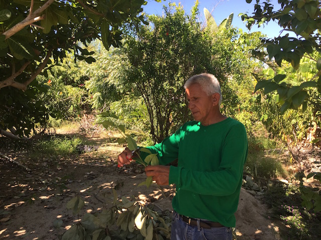 Herebierto LSB Resize.jpg