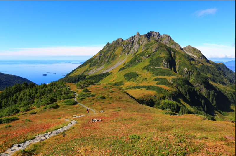 Screen Shot 2017-07-03 at 7.42.23 AM.png