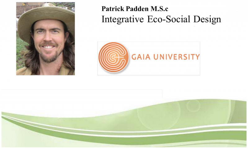 Gaia Portfolio page.png