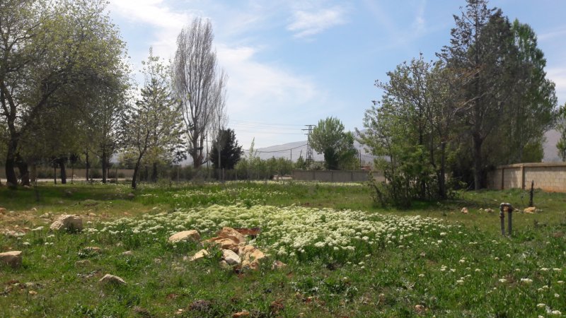 Plot in Zabadani allocated for the permaculture  pilot project 