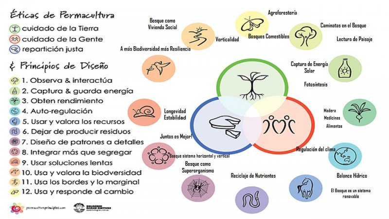Permacultura y Bosques.jpg