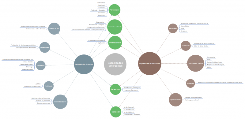 Análisis de Capacidades.png