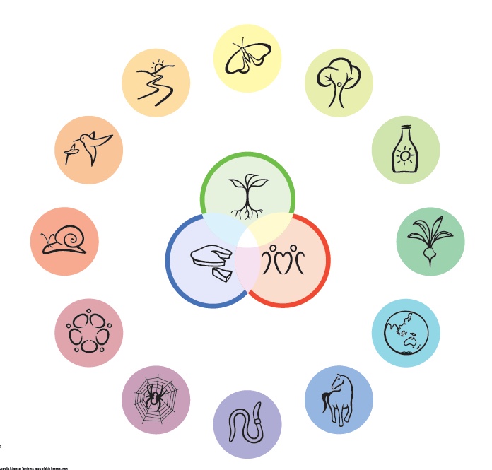 Permaculture wheel.jpg